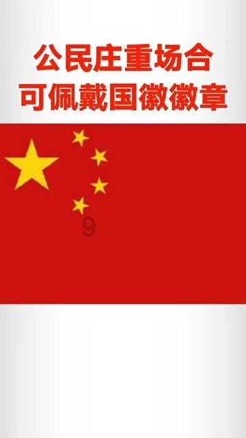 天上掉下个小猪猪